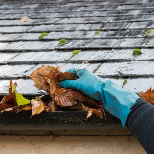 Cleaning the Gutters is a Crucial Spring Maintenance Tip