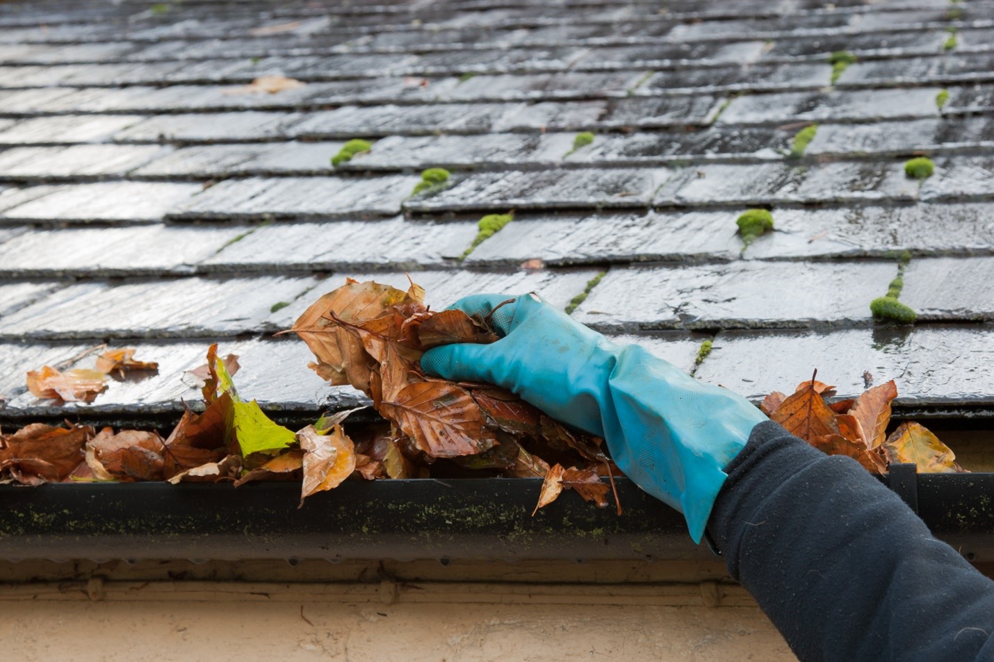 Cleaning the Gutters is a Crucial Spring Maintenance Tip